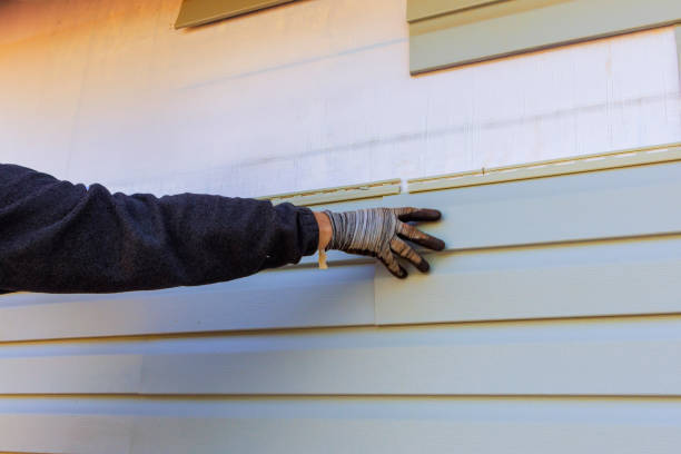 Best Custom Trim and Detailing for Siding  in Mojave, CA